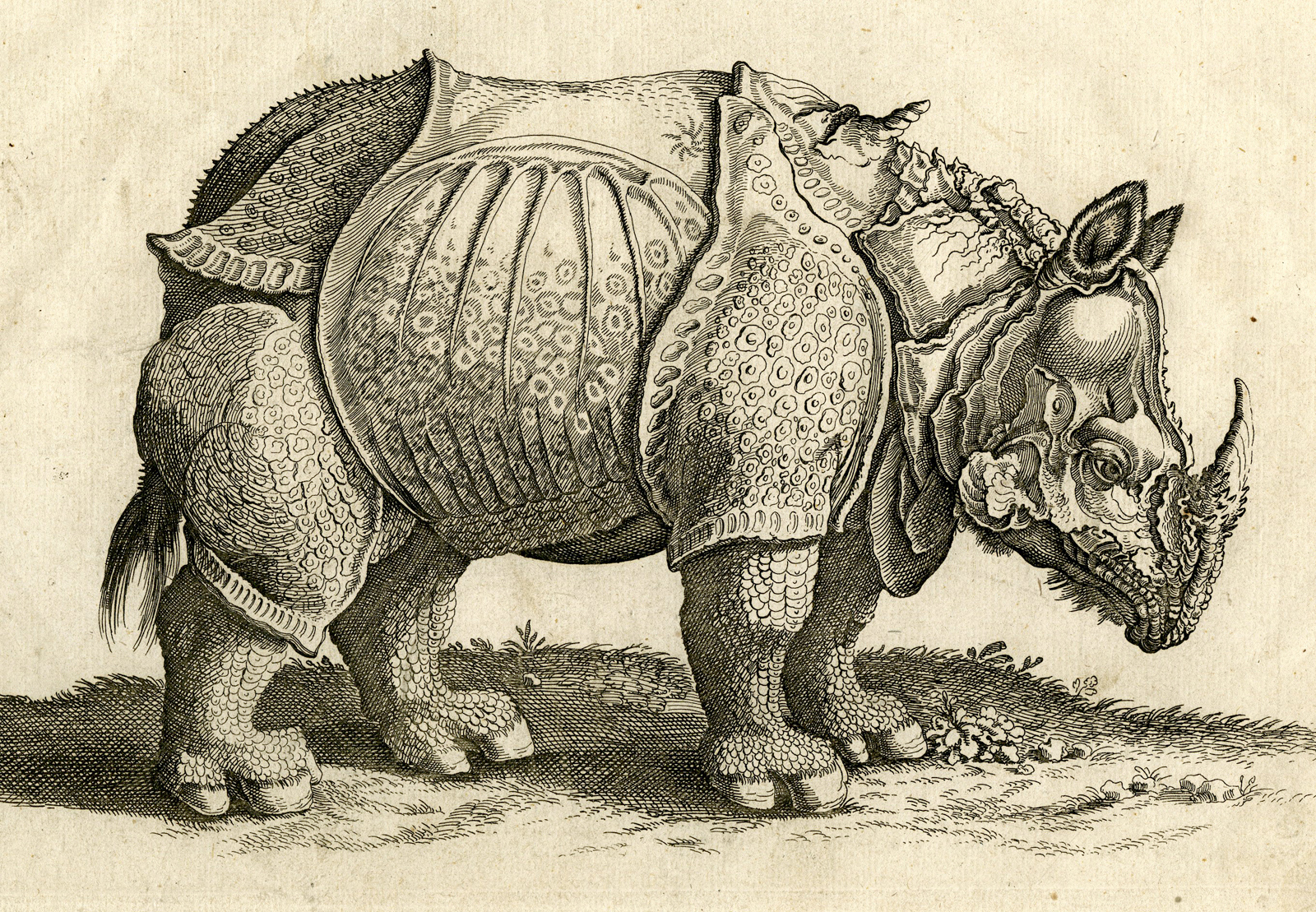Pictura 00533 416x288 Antique Print-RHINOCEROS-RHINO-Merian after Durer-Jonston-1657 - Image 2