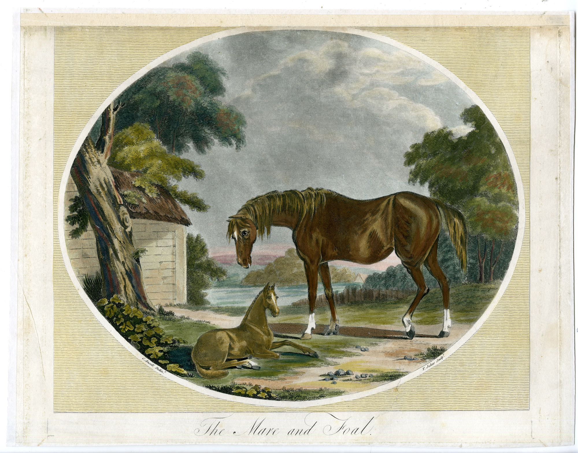 , Antique Master Print-MARE-FOAL-HORSES-jukes-Ansell-1790, Pictura Antique Prints
