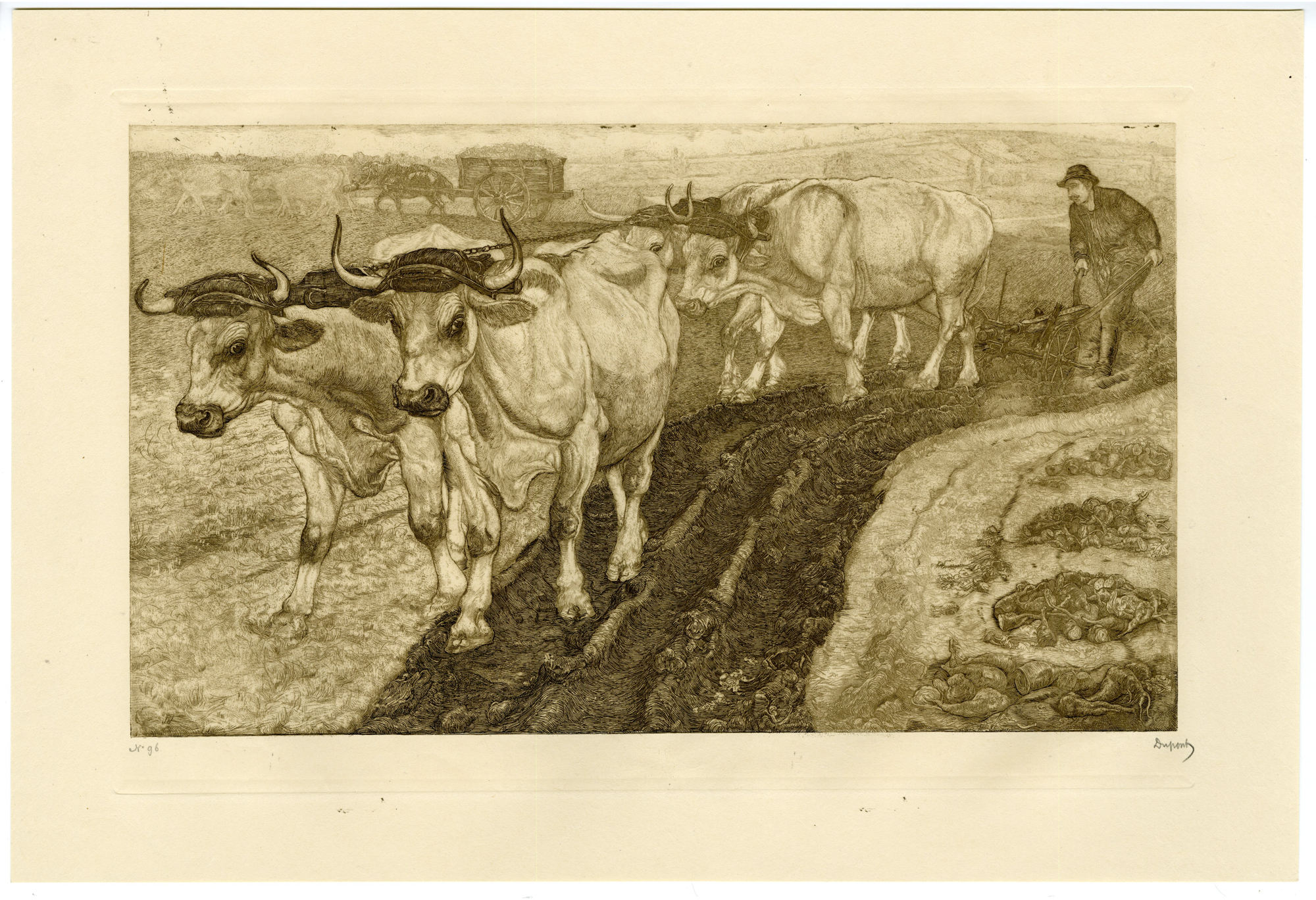 , Antique Print-PLOWING OXEN-FARMER-FIELD-SUGAR BEETS-HORSE-FRANCE-Dupont-1901, Pictura Antique Prints