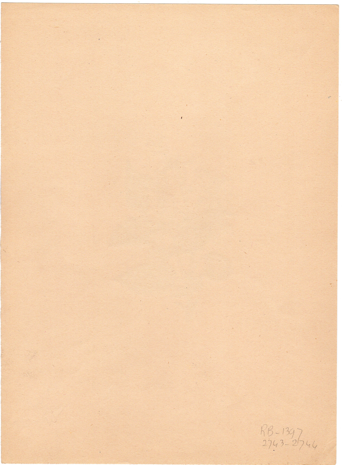 RB 2744 416x566 Antique Drawing-POTATO PLANT-SOLANUM TUBROSUM-Anonymous-c. 1900 - Image 2