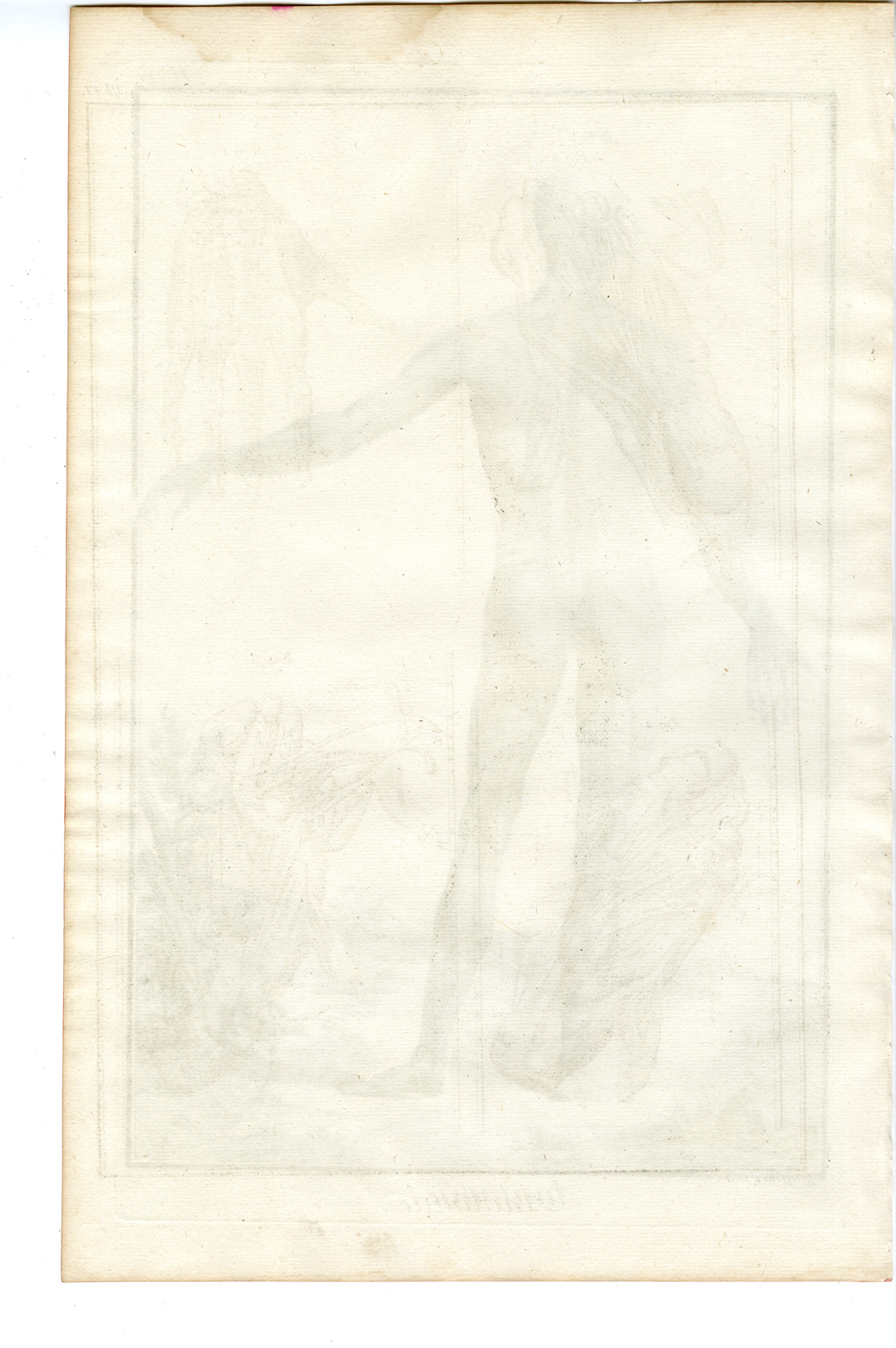Pco 17308 416x626 Antique Print-HUMAN ANATOMY-SKELETON-MUSCLES-REAR-Benard-Diderot-1779 - Image 2