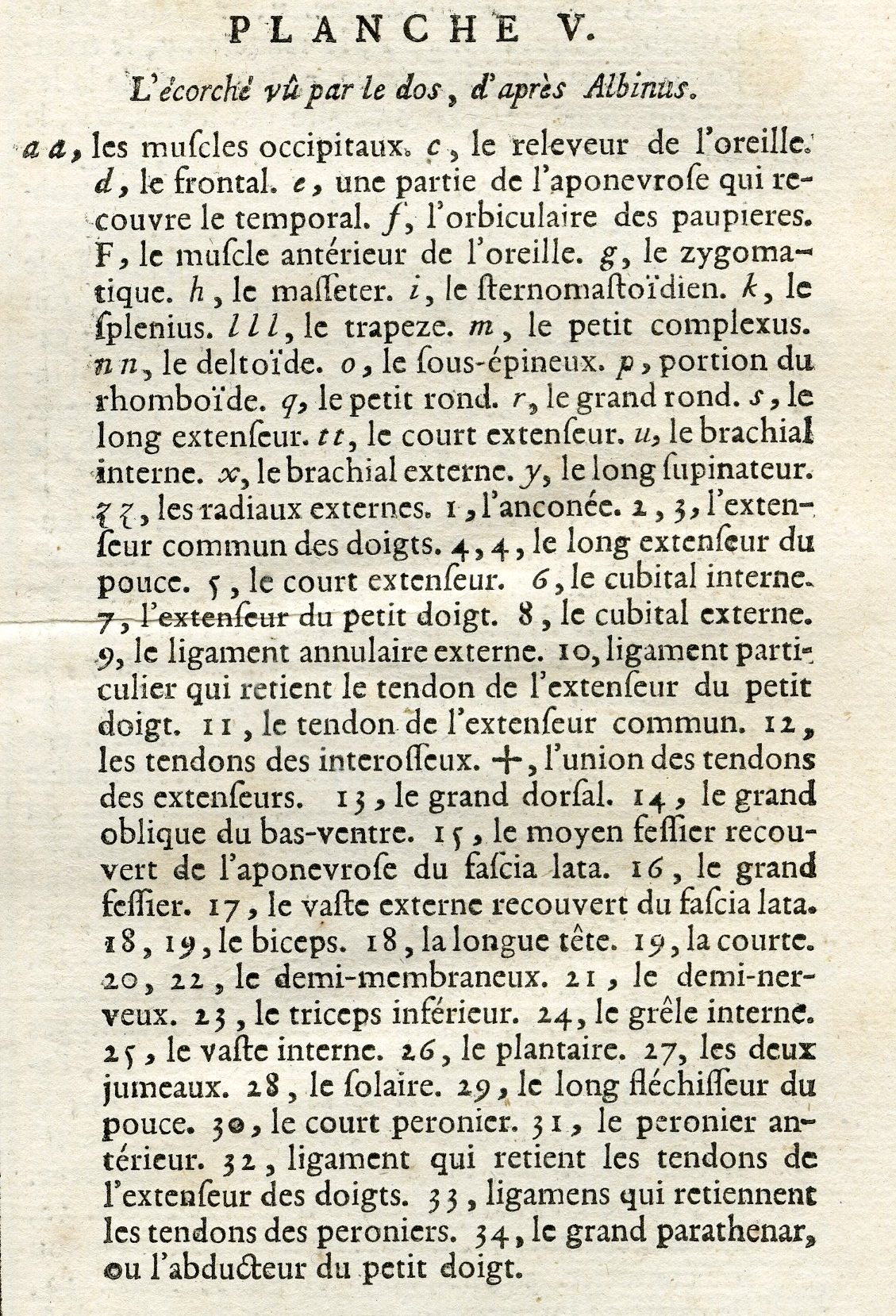 Pco 17321 416x611 Antique Print-HUMAN ANATOMY-SKELETON-MUSCLES-REAR-Benard-Diderot-1779 - Image 3