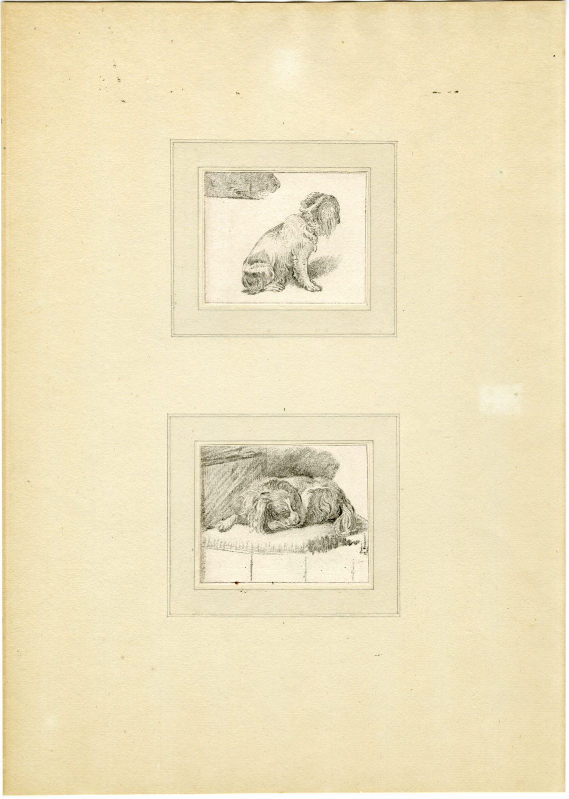 , 2-Antique Master Prints-DOG-LYING-SEATED-Brouwer and Van Amstel-Van Mieris-1777, Pictura Antique Prints