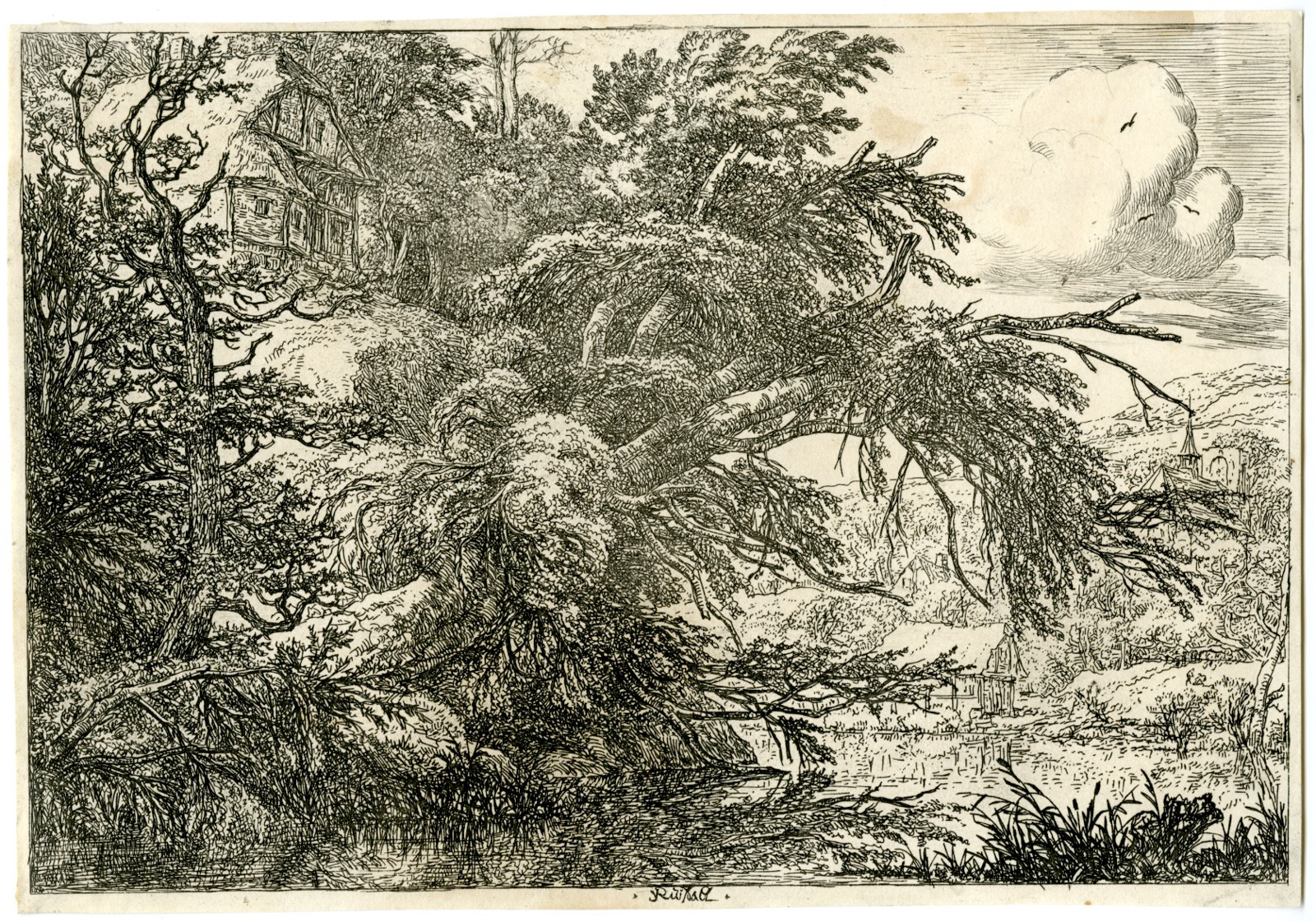 , Antique Master Print-FARM ON A HILL-Van Ruisdael-c.1650-1699, Pictura Antique Prints