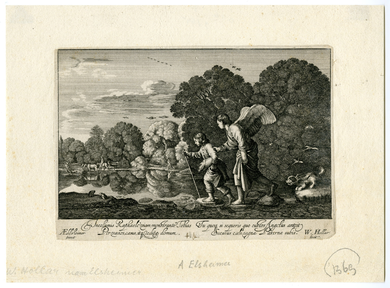 , Antique Master Print-SMALLL TOBIAS-ARCHANGEL RAPHAEL-Hollar-Goudt-1644-1652, Pictura Antique Prints