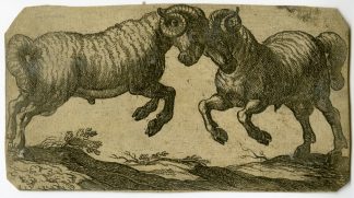 Antique Master Print-TWO-FIGHTING-RAMS-Tempesta-1600