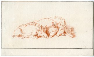 Antique Master Print-WILD-BOARS-Cootwijck-Potter-1724-1798