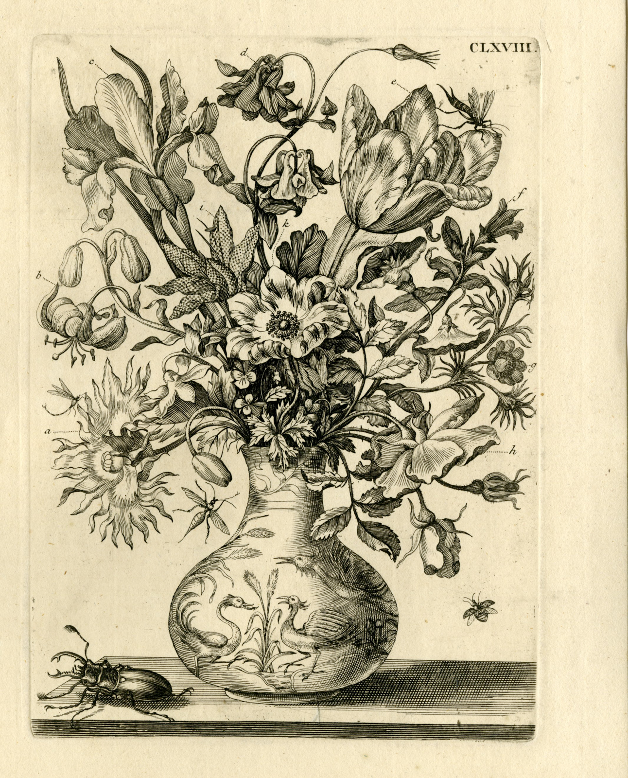 , Antique Prints-FLOWERS-INSECTS-Maria Sybilla Merian-1730, Pictura Antique Prints