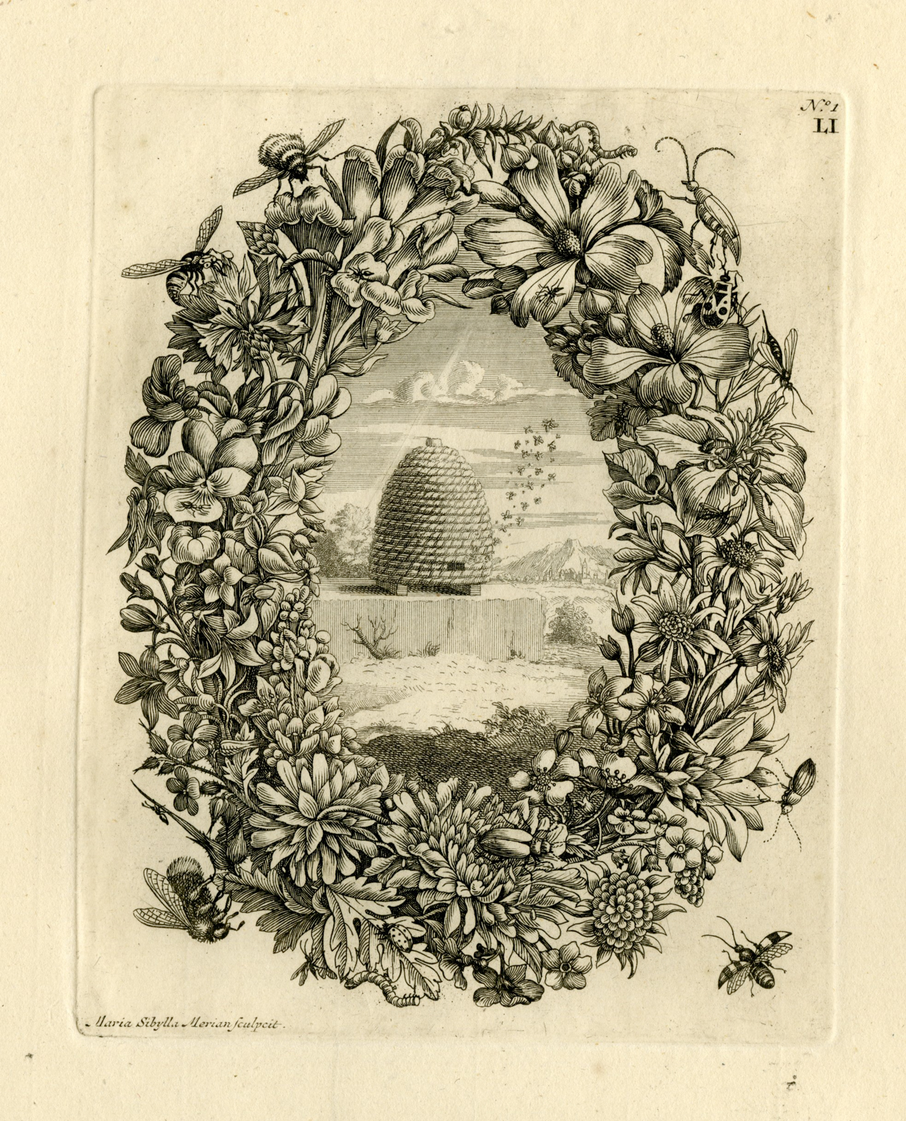 , Antique Prints-FLOWERS-INSECTS-Maria Sybilla Merian-1730, Pictura Antique Prints