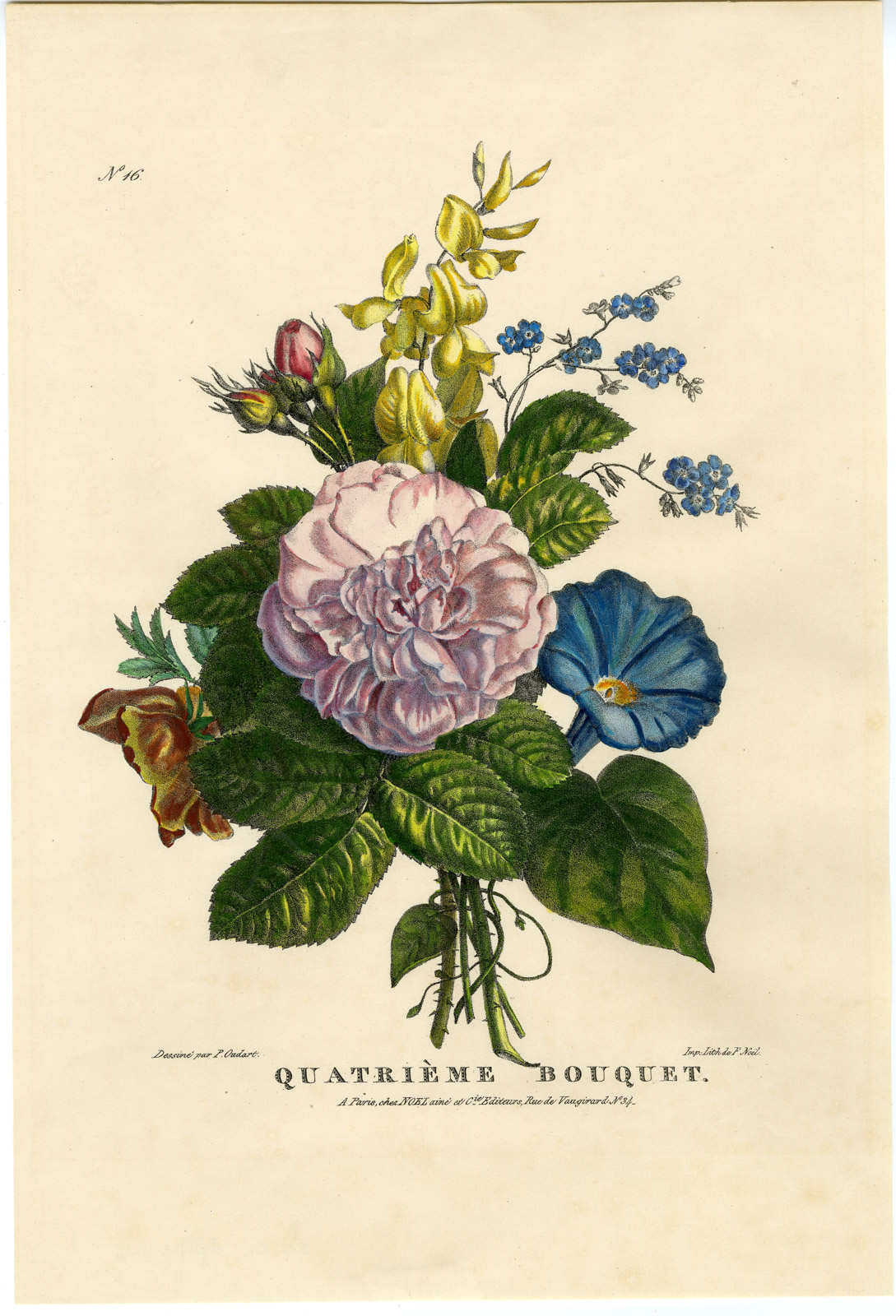 , Antique Print-BOUQUET-ROSE-PETUNIA-TOUCH ME NOT-NO. 16-Oudart-1850, Pictura Antique Prints