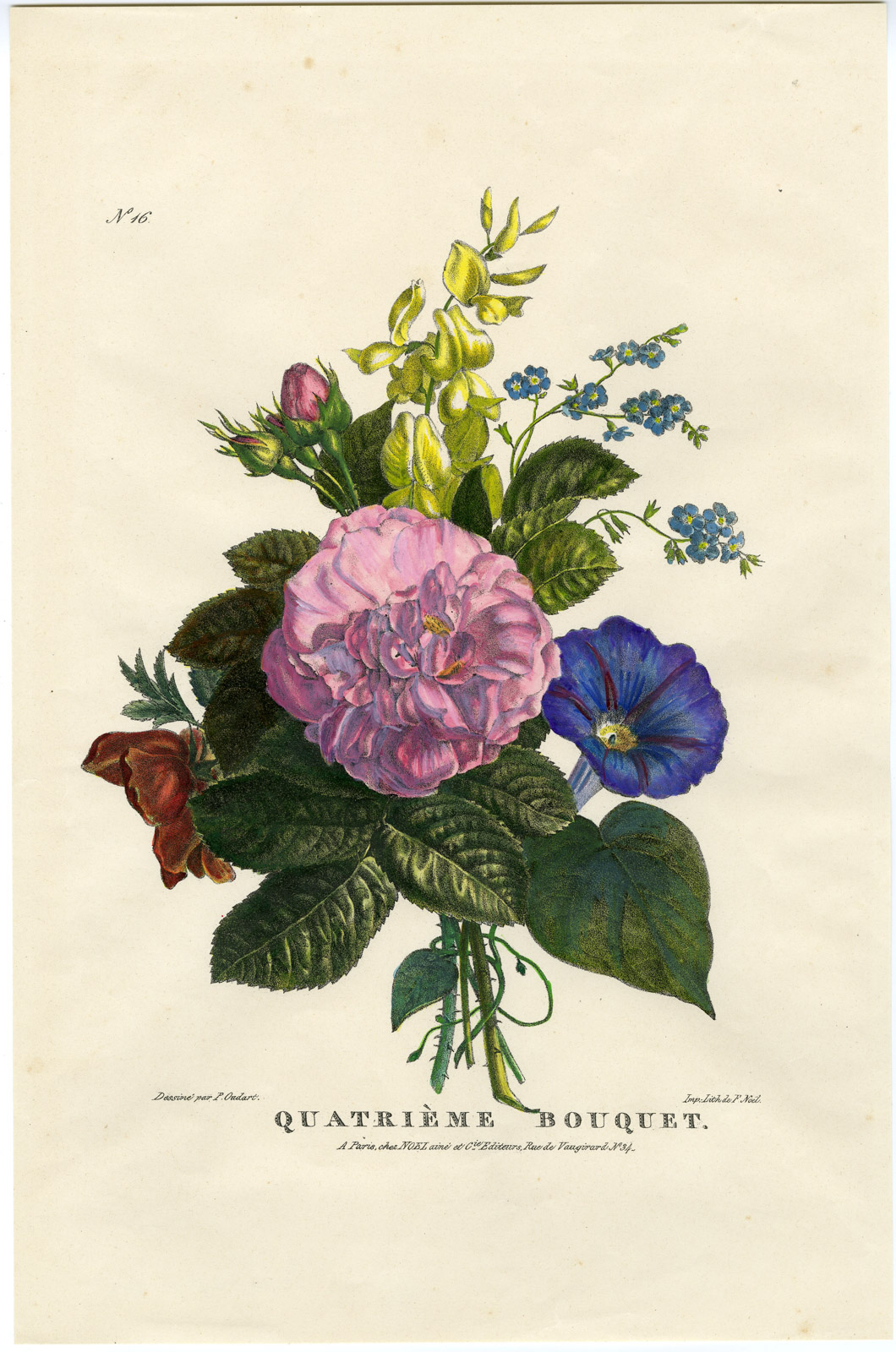 , Antique Print-BOUQUET-ROSE-PETUNIA-TOUCH ME NOT-NO. 16-Oudart-1850, Pictura Antique Prints