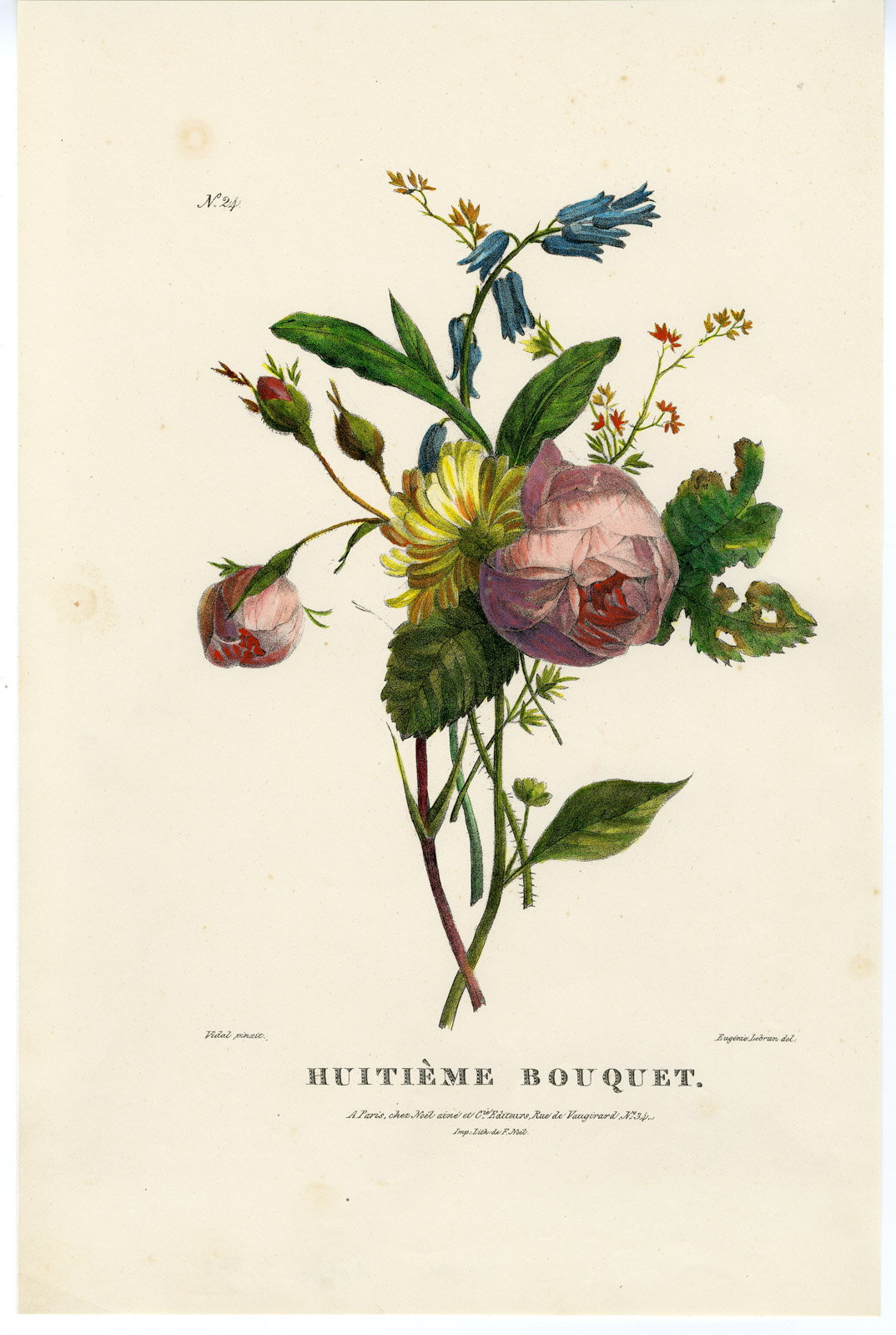 , Antique Print-BOUQUET-ROSE-WILDFLOWER-NO. 24-Lebrun-Vidal-1850, Pictura Antique Prints