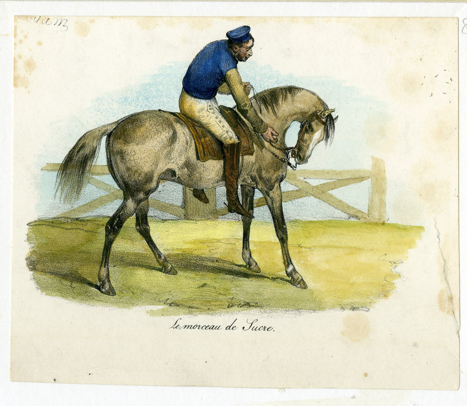 , Antique Print-SUGAR CUBE-FEED-HORSE-Anonymous-1880, Pictura Antique Prints