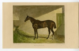 Antique Print-RACE HORSE-SPANIEL-DERBY STAKES-EPSOM-HERRING-SCOTT-Scott-Herring-1850