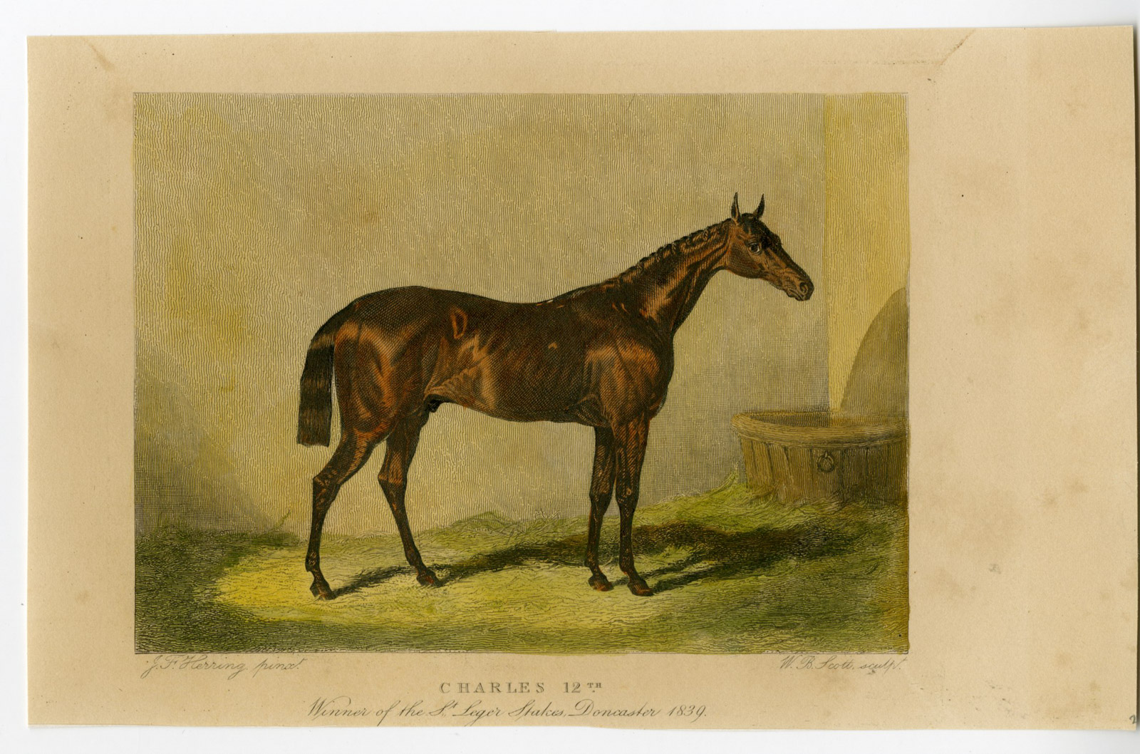 , Antique Print-RACE HORSE-CHARLES 12TH-LEGER STAKES-DONCASTER-Scott-Herring-1850, Pictura Antique Prints