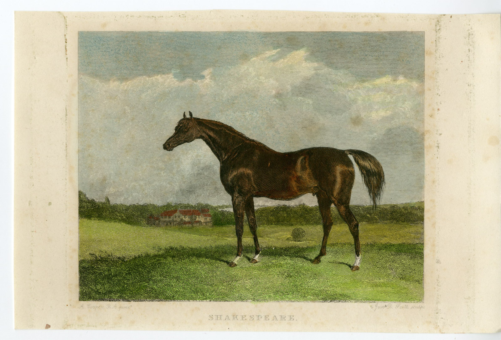 , Antique Print-HORSE-PORTRAIT-SHAKESPEARE-Scott-Cooper-1815, Pictura Antique Prints