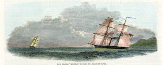 Antique Print-RIFLEMAN-STEAM SLOOP-SAIL-SLAVE TRADE-Anonymous-1850