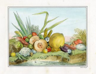 Antique Print-STILL LIFE-FRUIT-VEGETABLE-Becquet-1840