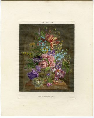 Antique Print-VASE-BOUQUET-ROSE-SNAIL-BUTTERFLY-NEST-Schultze-Van Huysum-1780