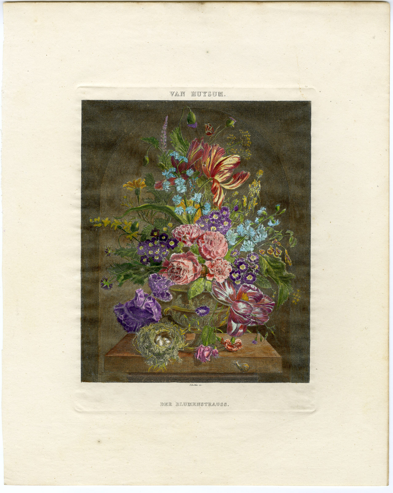 , Antique Print-VASE-BOUQUET-ROSE-SNAIL-BUTTERFLY-NEST-Schultze-Van Huysum-1780, Pictura Antique Prints