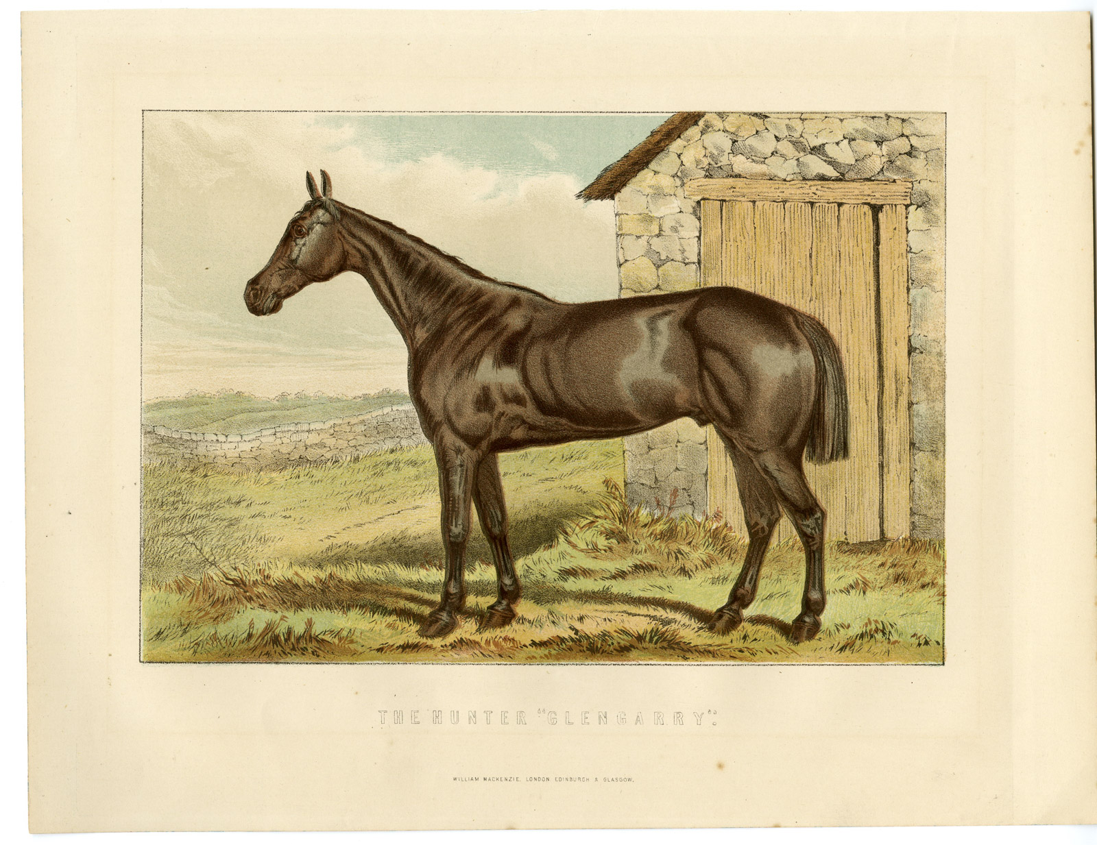 , Antique Print-PORTRAIT-HUNTING HORSE-STONE BUILDING-Mackenzie-1870, Pictura Antique Prints