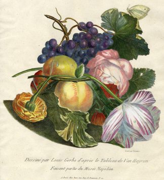 Antique Print-FLOWER-ROSE-PEACH-GRAPE-TULIP-NO. 10-Cazenave-Gerbo-1799