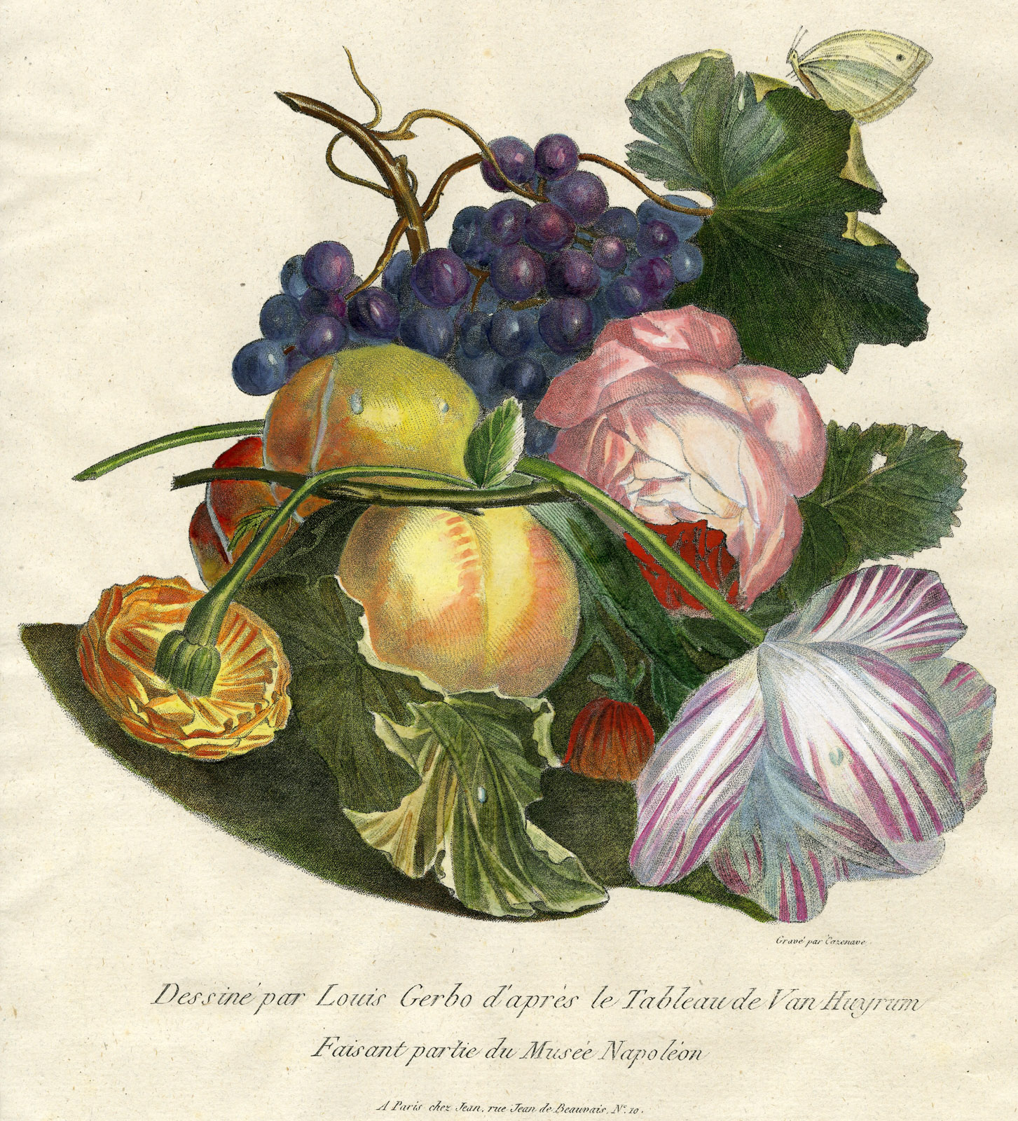 , Antique Print-FLOWER-ROSE-PEACH-GRAPE-TULIP-NO. 10-Cazenave-Gerbo-1799, Pictura Antique Prints