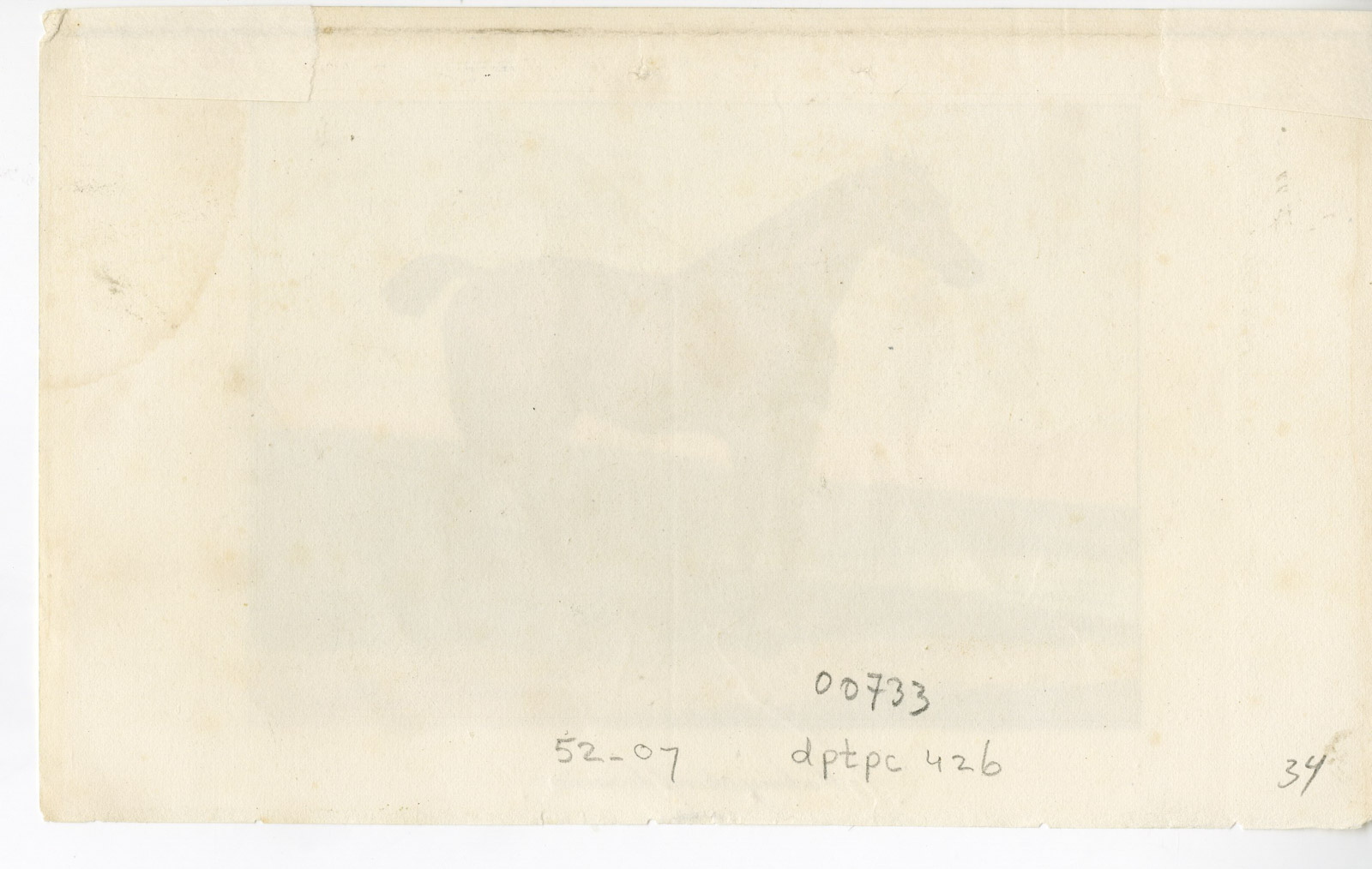 , Antique Print-HACKNEY HORSE-PORTRAIT-FIELD-Anonymous-1843, Pictura Antique Prints