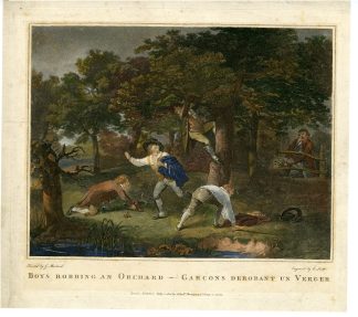 Antique Master Print-BOYS-ORCHARD-STEAL-APPLE-Scott-Morland-1804