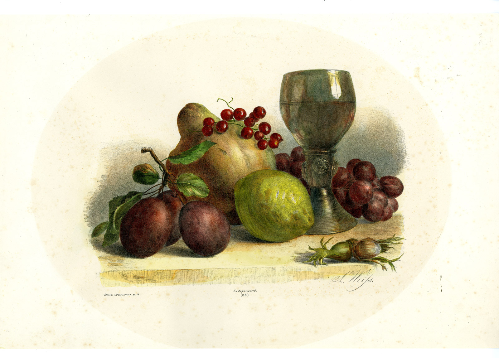 , Antique Print-STILL LIFE-GRAPE-PEAR-CURRANT-LEMON-NO. 36-Weiss-1850, Pictura Antique Prints