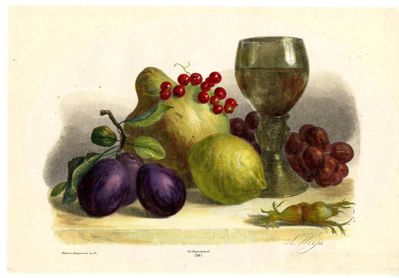 , Antique Print-STILL LIFE-GRAPE-PEAR-CURRANT-LEMON-NO. 36-ANTON WEISS-Weiss-1850, Pictura Antique Prints