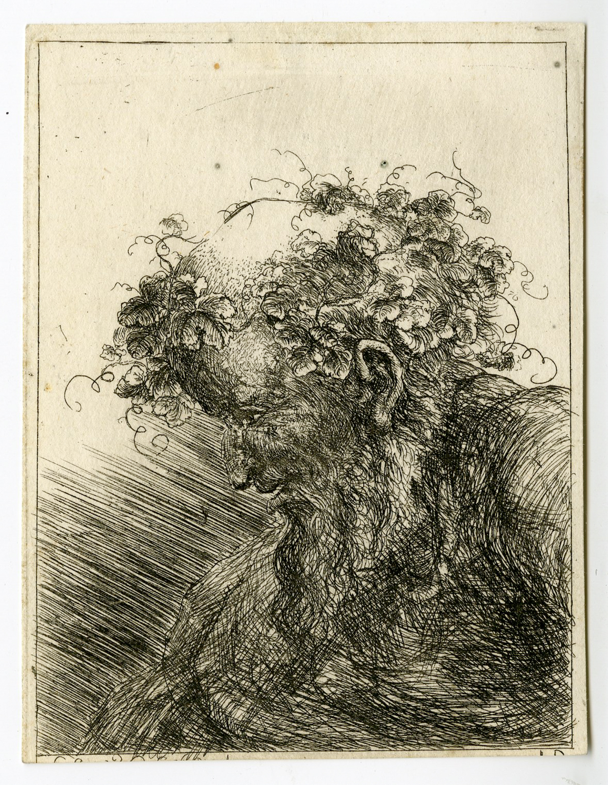 , Antique Master Print-PORTRAIT-MAN-FLORAL-CROWN-SIDE-VIEW-Hagedorn-1744, Pictura Antique Prints
