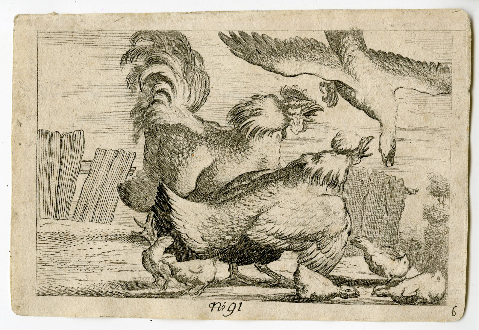 , Antique Master Print-FALCON-COCK-HEN-CHICKS-CHICKEN-Barlow-c.1700-1749, Pictura Antique Prints