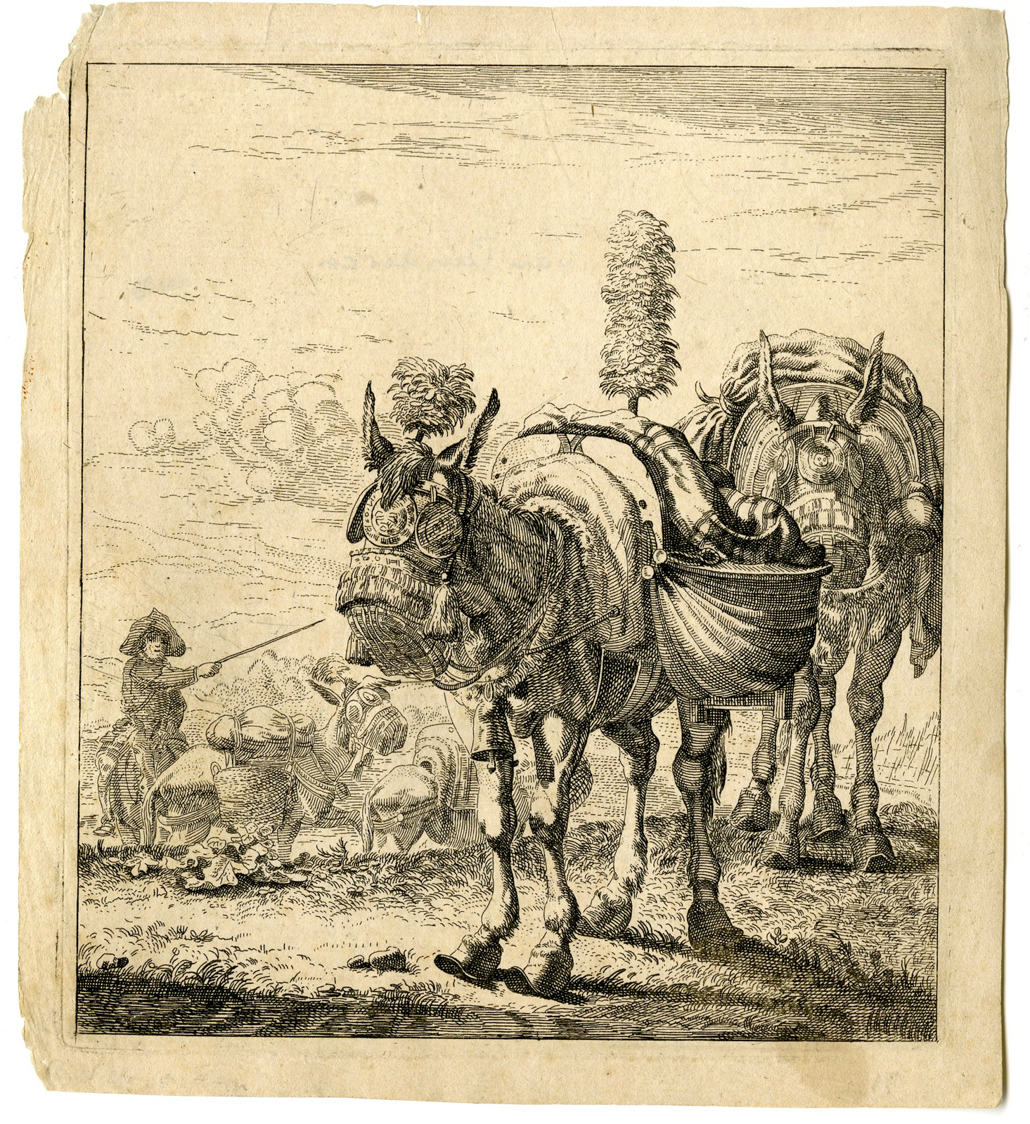 , Antique Master Print-MULES-OUTFITTED-PLUMES-Dujardin-17th c., Pictura Antique Prints