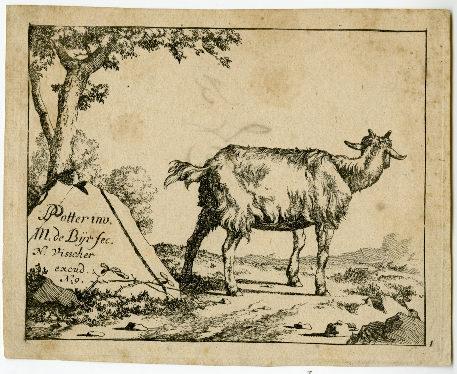 , Antique Master Print-GOAT-STANDING-REAR-de Bye-Potter-1657-1677, Pictura Antique Prints