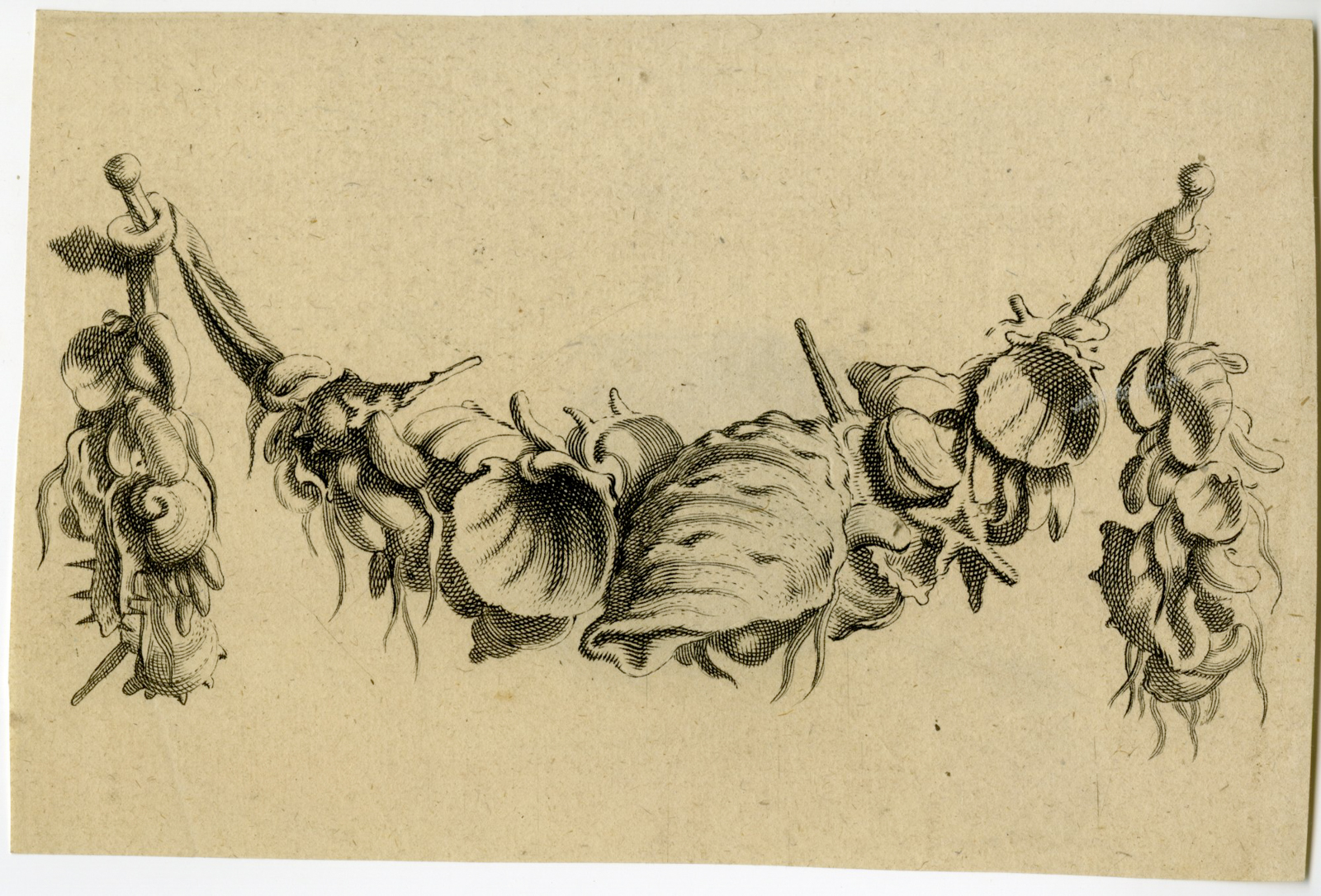 , Antique Master Print-FESTOON-SHELLS-DUTCH-KWAB-ORNAMENT-Mosijn-1655-1678, Pictura Antique Prints