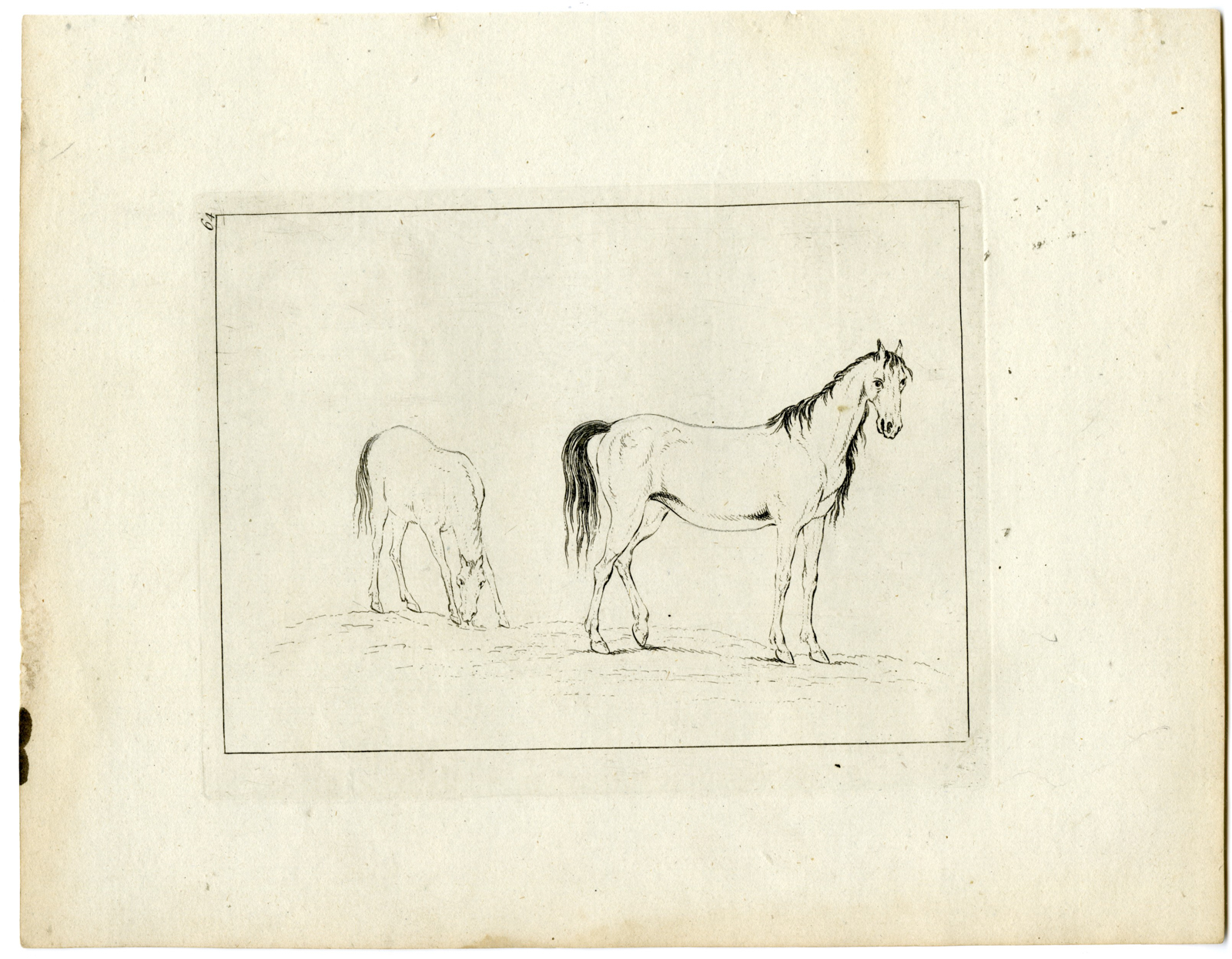 , 2-Antique Master Prints-DRAWING-EXAMPLE-HORSE-MARE-FOAL-Ravenet-Tillemans-1762, Pictura Antique Prints