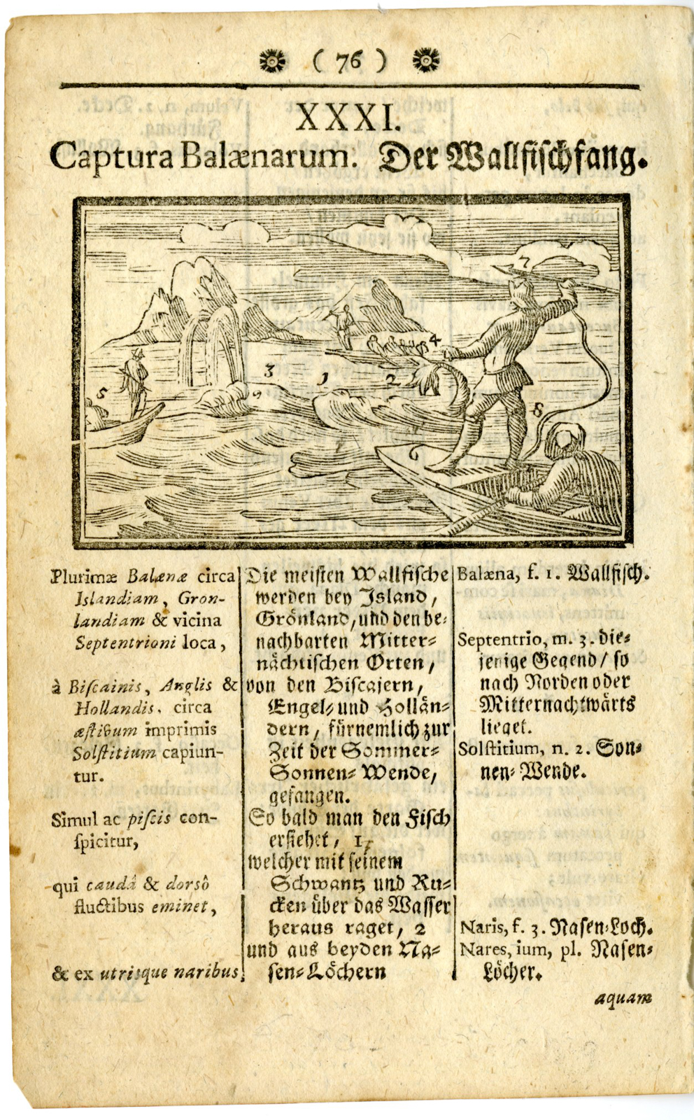 , Rare-Antique Print-WORLDLY-PICTURES-WHALING-Comenius-c.1745-1754, Pictura Antique Prints