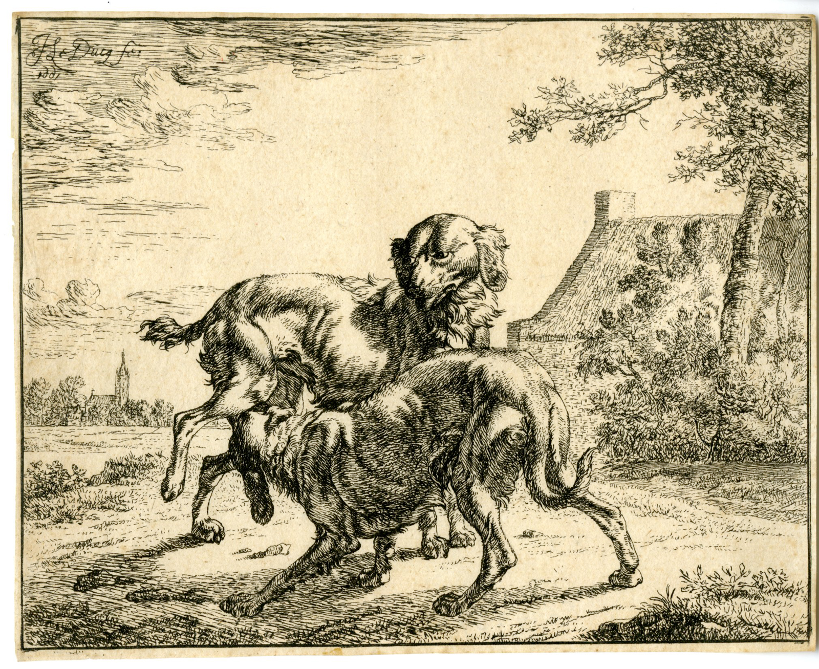 , Antique Master Print-MALE AND FEMALE DOGS-ETCHING-Le Ducq-1661, Pictura Antique Prints