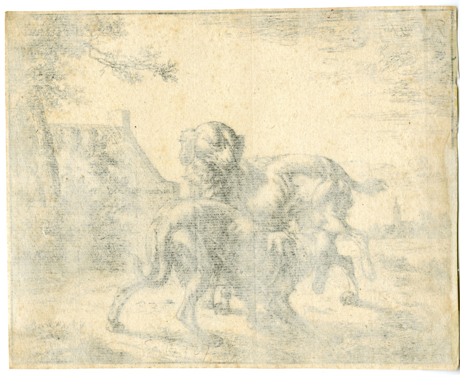 , Antique Master Print-MALE AND FEMALE DOGS-ETCHING-Le Ducq-1661, Pictura Antique Prints