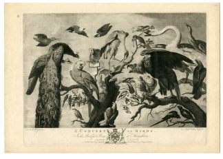 Antique Master Print-CONCERT-OF-BIRDS-HOUGHTON-DI FIORI-Earlom-De Vos-1778