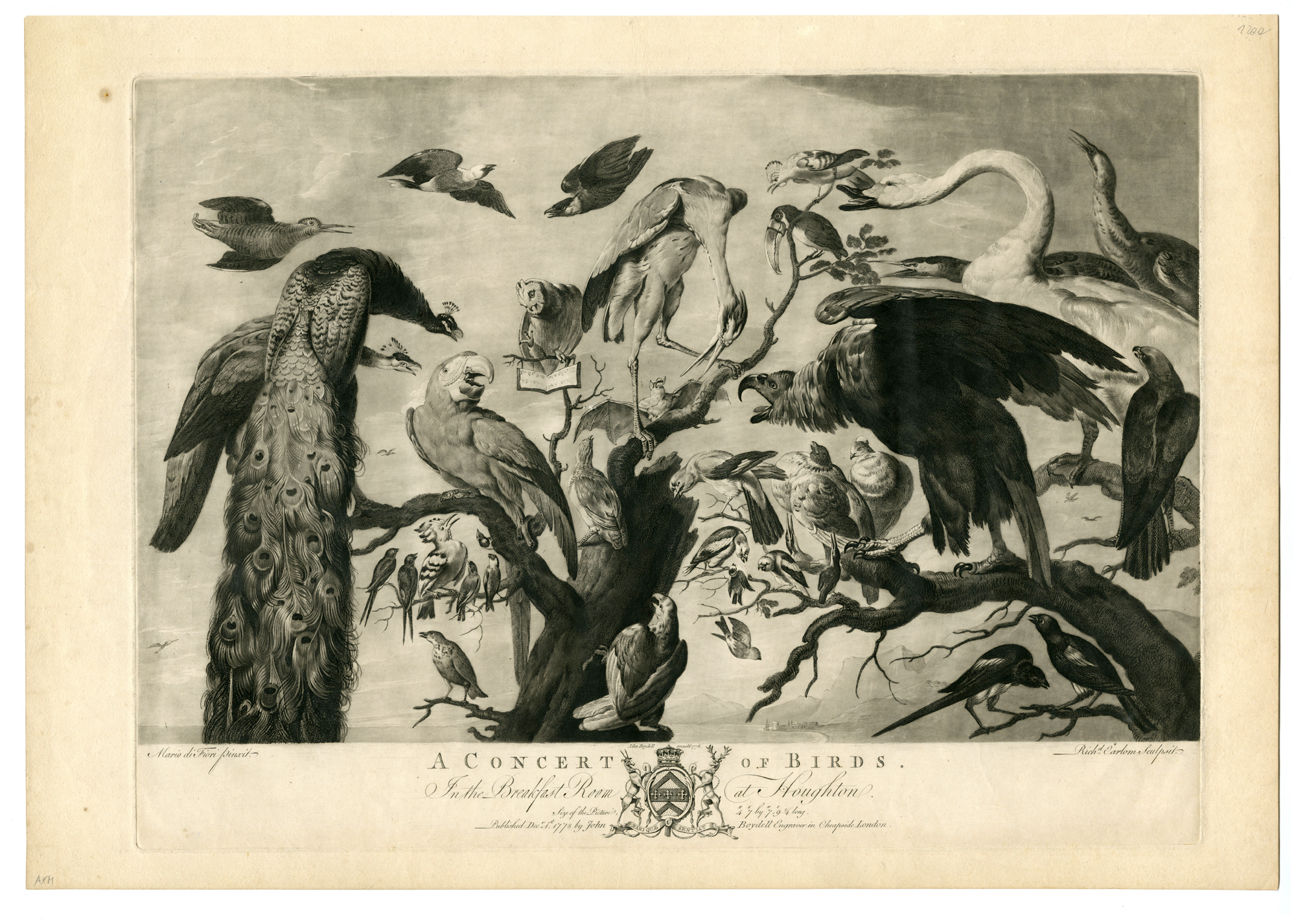 , Antique Master Print-CONCERT-OF-BIRDS-HOUGHTON-DI FIORI-Earlom-De Vos-1778, Pictura Antique Prints
