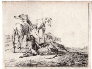 Antique Master Print-ANIMAL-DOG-GREYHOUND-SCRATCHING-STANDING-Jonckheer-1663