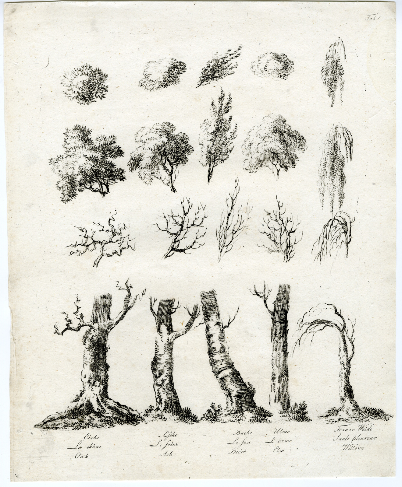 , 7-Antique Prints-LANDSCAPE-DRAWING-STUDY-TREES-ROCKS-SET-OF-7-Wagner-1802, Pictura Antique Prints