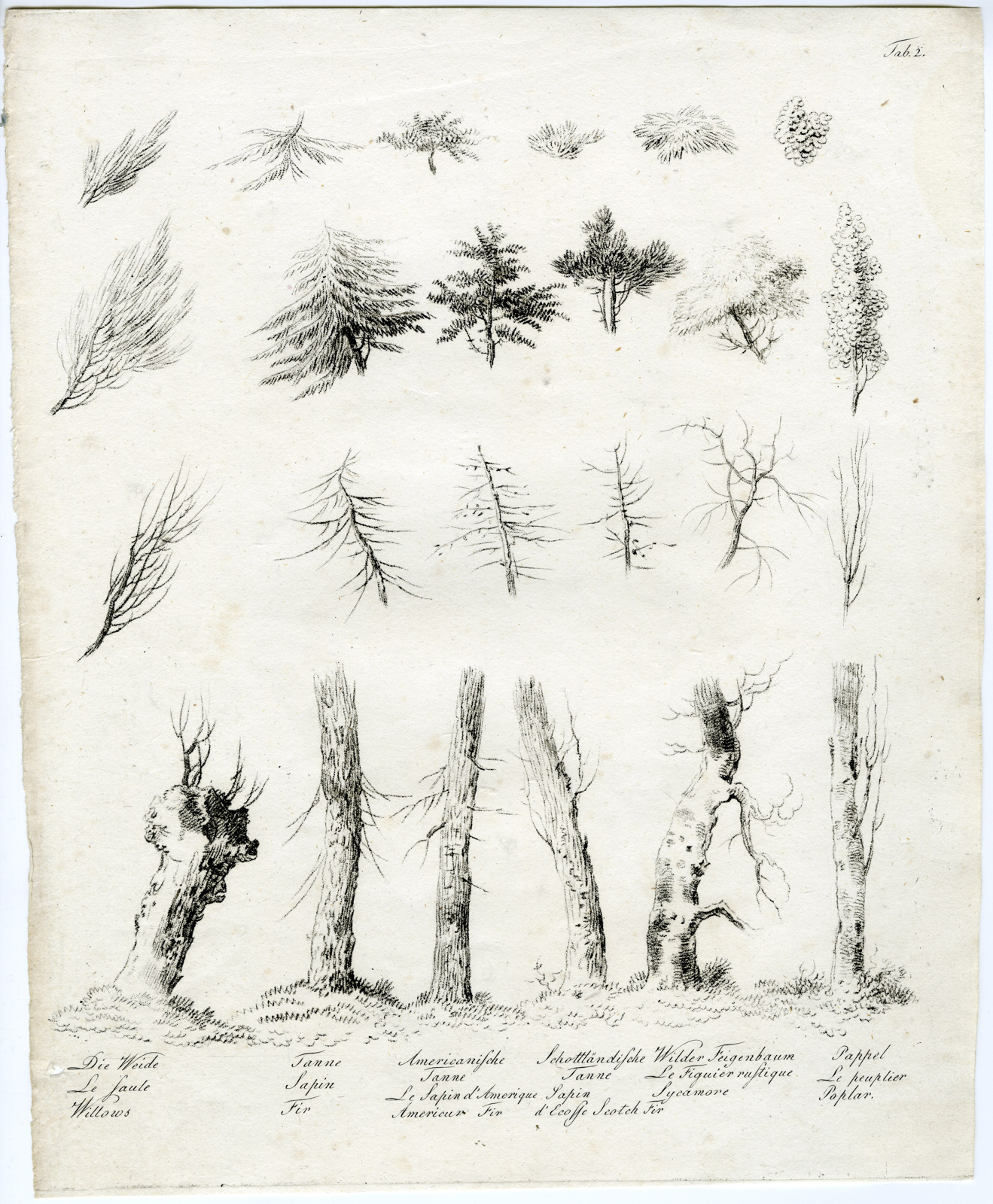 , 7-Antique Prints-LANDSCAPE-DRAWING-STUDY-TREES-ROCKS-SET-OF-7-Wagner-1802, Pictura Antique Prints