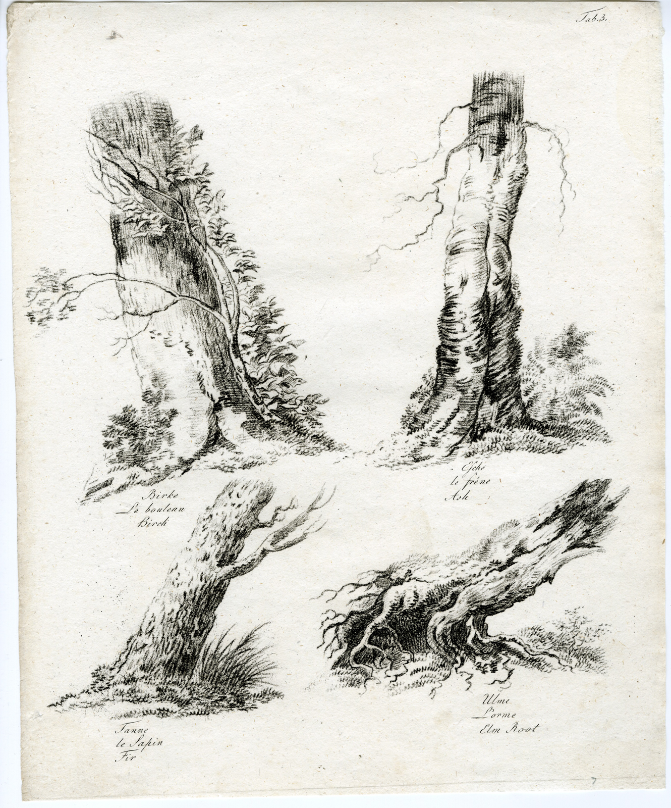 , 7-Antique Prints-LANDSCAPE-DRAWING-STUDY-TREES-ROCKS-SET-OF-7-Wagner-1802, Pictura Antique Prints