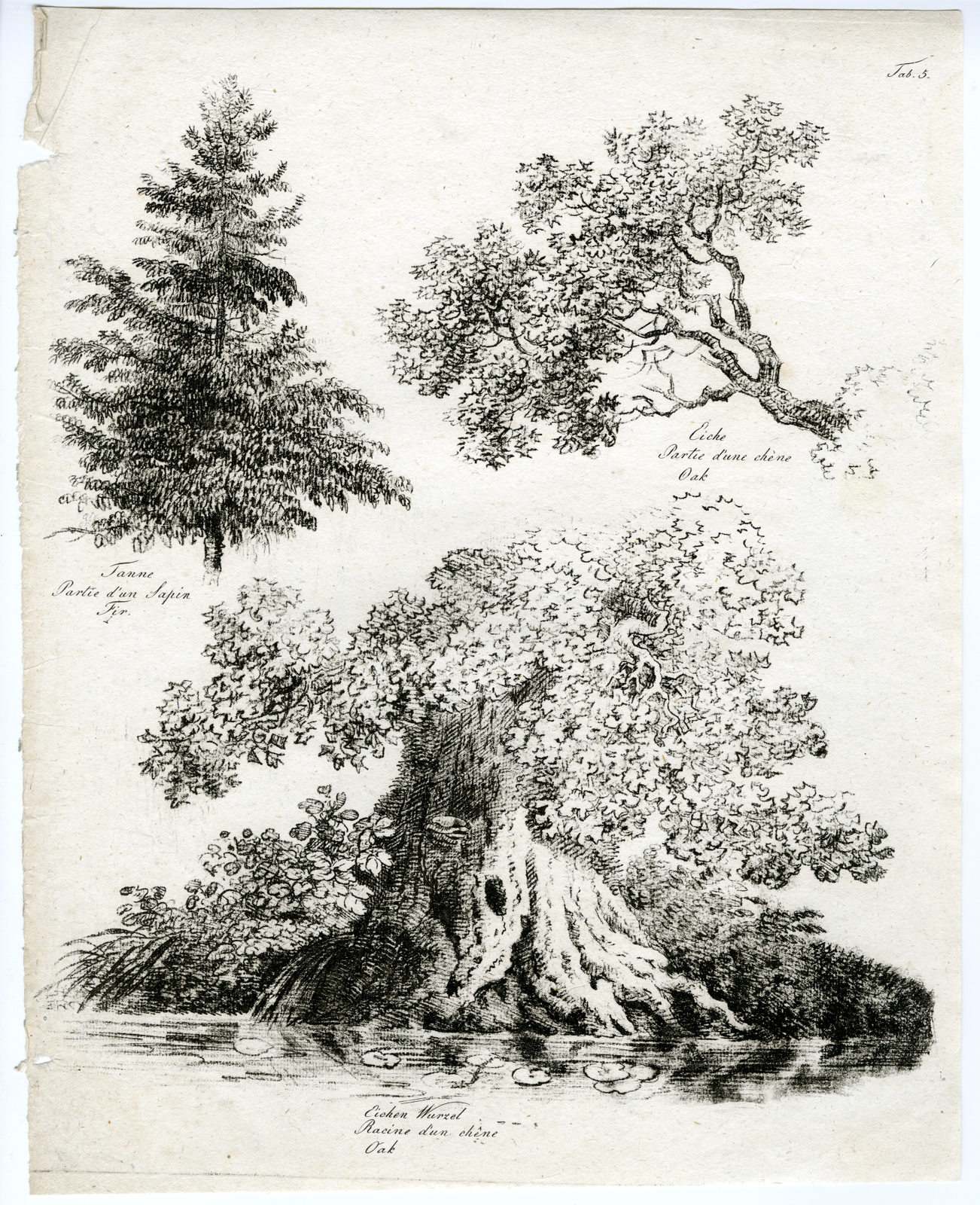 , 7-Antique Prints-LANDSCAPE-DRAWING-STUDY-TREES-ROCKS-SET-OF-7-Wagner-1802, Pictura Antique Prints