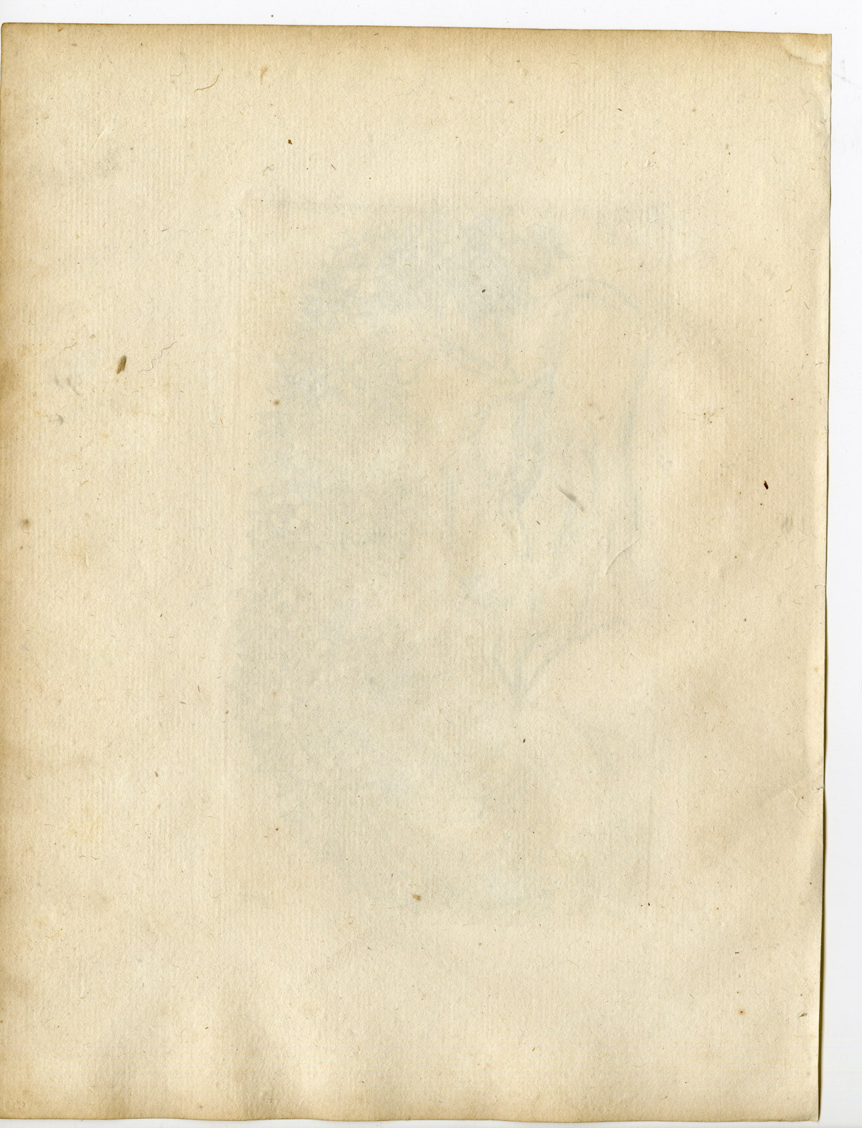 , Rare-Antique Print-POTENTILLA ALBA-WHITE CINQUEFOIL-Belleval-1796, Pictura Antique Prints