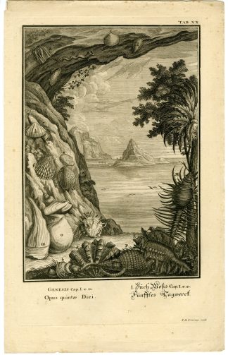Antique Print-OLD TESTAMENT-GENESIS-CREATION-FISH-SHELLS-Scheuchzer-1731