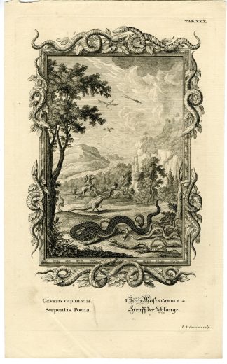 Antique Print-OLD TESTAMENT-SNAKES-PUNISHMENT-EAT DUST-Corvinus-Scheuchzer-1731